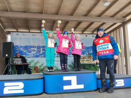 Новогодние победы новомосковских лыжников