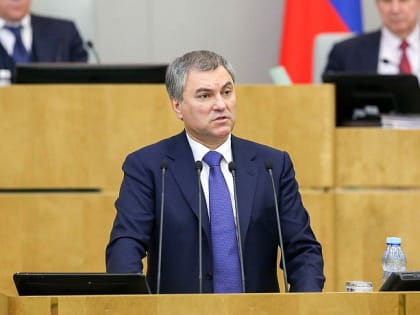 Володин заявил о необходимости защиты директоров школ и детсадов от неправомерных наказаний