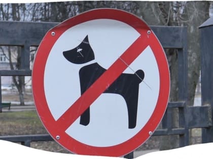 Собакам здесь не место