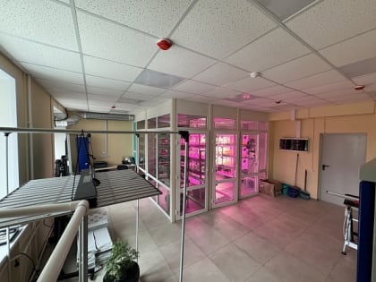 В ТГПУ разрабатывают суперкомпьютер, который  поможет учёным в разработке лекарств
