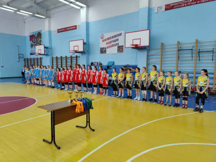 Команда девочек из Алексина стала победителем Первенства Тульской области по баскетболу