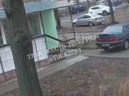 Нападение собаки на девочку в Богородицке: Прокуратура проводит проверку