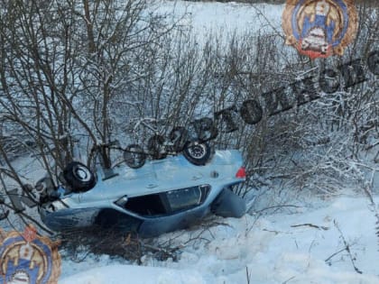 Автоледи попала в ДТП в Алексинском районе