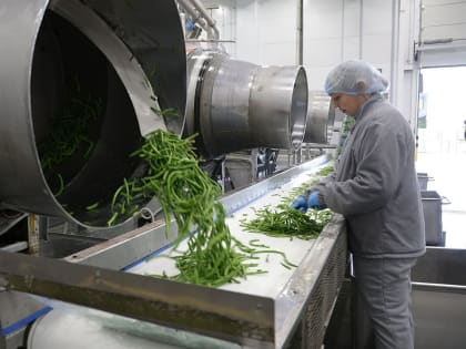 В Плавском районе открыт комплекс по выращиванию и переработке гороха и фасоли