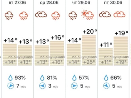Синоптики предупреждают туляков о ливнях и грозах в течение недели