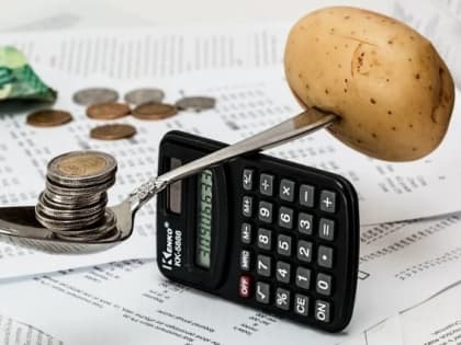В Тульском регионе годовая инфляция замедлилась и составила 9,03%
