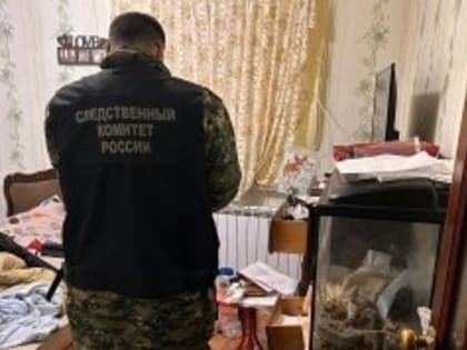 19-летнюю дочь зарезал отец в Богородицком районе Тульской области