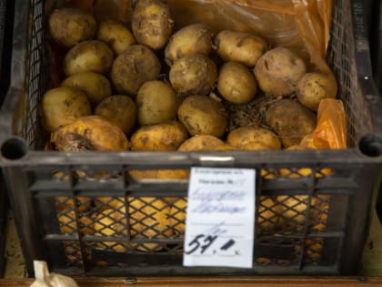 Житель Кимовска украл 32 кг картошки и 32 банки домашних солений