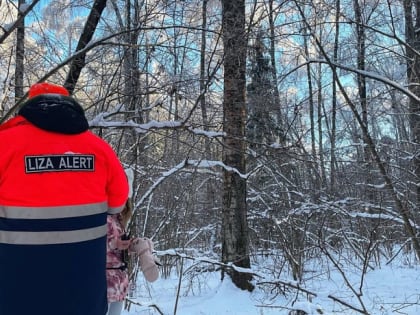 В Тульской области почти две недели ищут пропавшего 84-летнего мужчину