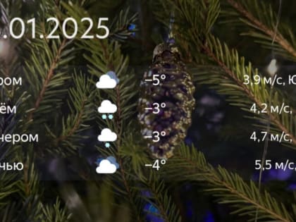 Лёгкий морозец: гороскоп и прогноз на 4 января