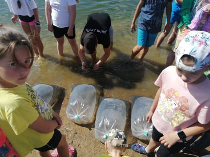 Маленькой рыбке — большое плавание. Сегодня в Алексине прошла акция по выпуску молодой стерляди в реку Ока.