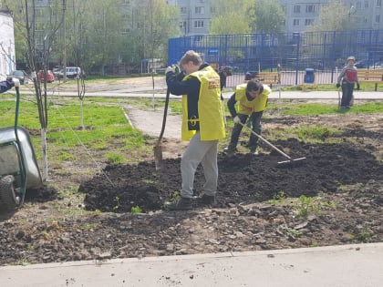 Справедливороссы вместе с зареченцами продолжили благоустройство дворов на ул. Максимовского