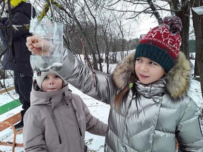 Смастери кормушку, накорми пичужку!