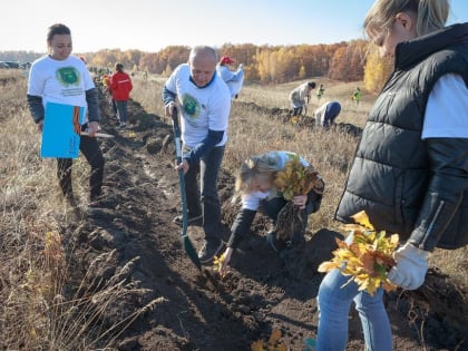 На Куликовом поле пройдет акция «Зеленая дубрава»