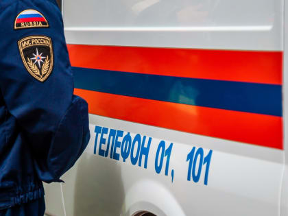 В 2023 году в Ефремове 79 раз пожарные тушили горящую траву