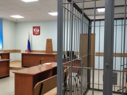 «Закладчицу» из Щекино приговорили к колонии