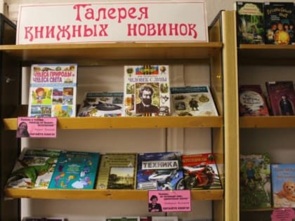 Детская библиотека: «Галерея книжных новинок» (6+)