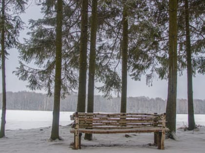 Туляков предупреждают о небольших осадках и сильном ветре 5 марта