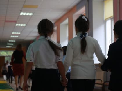 Тульский Минобр объяснил, как дети будут учиться в мороз