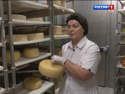 Тульские предприятия увеличили объёмы производства сыра