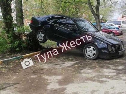 Упавшее дерево в Туле приподняло автомобиль над землей