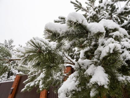 В Тульской области ожидается похолодание из-за радиационного выхолаживания