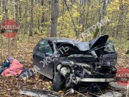 В Тульской области машина съехала в кювет и врезалась в дерево