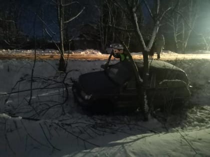 В Большой Туле в селе Архангельское Kia Sportage улетел в кювет