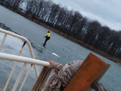 По тонкому льду. Двое подростков бегали по водоему в Тульской области