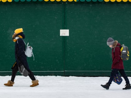При какой температуре в Тульской области могут отменить школьные занятия