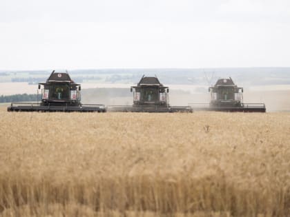 Состояние сельского хозяйства в Тульской области на 8 августа