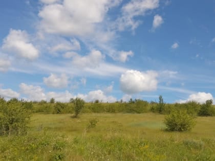 Цены за сотку в Тульской области за год выросли на 14%