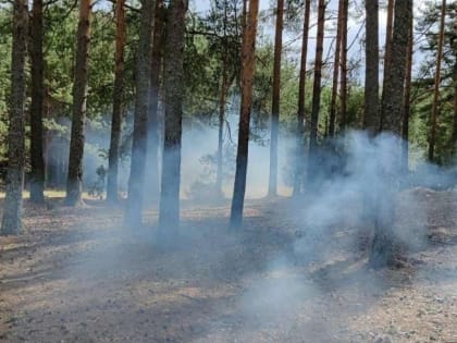 Новомосковские пожарные: будьте осторожны с огнем на природе