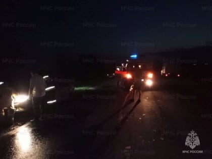 Мужчина с ожогами госпитализирован после возгорания автомобиля в Куркинском районе