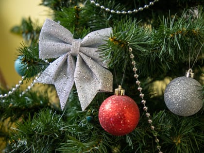 Тульские музеи пригласили на новогодние программы