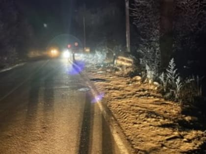 Смертельное ДТП в Донском: водитель ВАЗа не выжил
