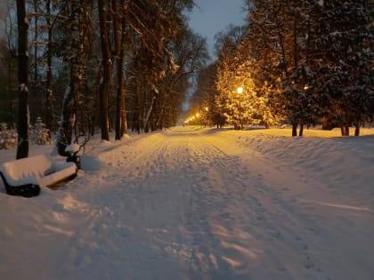 До - 17℃ похолодает в Тульской области 12 января