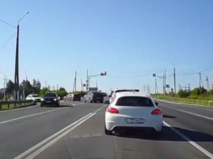 На М-2 «Крым» в Туле засняли «массовую миграцию» торпыг