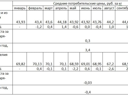 «Это дважды учли в стоимости»: тульский экономист объяснила рост цен на хлеб