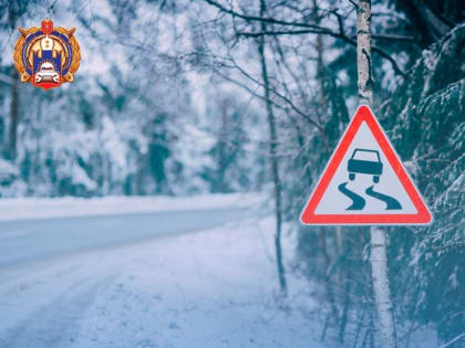 Госавтоинспекция Тульской области  предупреждает!