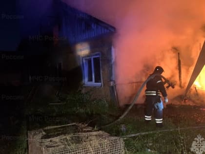 При пожаре в жилом доме в селе под Новомосковском пострадали люди