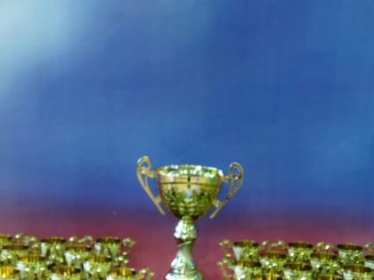 Тульские спортсменки принимают участие в турнире в Тверской области