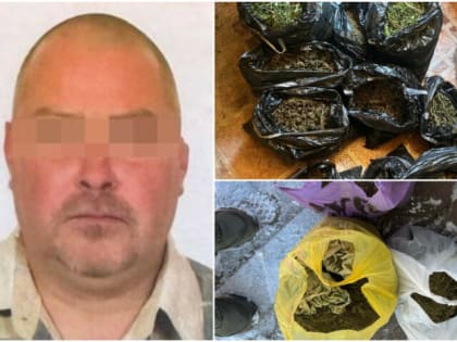 В Киреевске с 5 кг наркотиков задержан местный житель