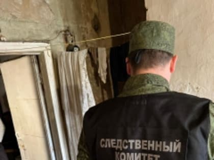 В Тульской области следователем СК возбуждено уголовное дело по факту причинения тяжкого вреда здоровью, повлекшего смерть женщины