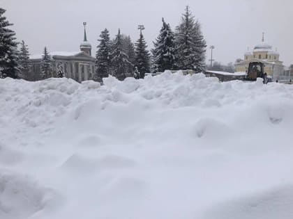 Погода в Туле 11 января: облачно и снежно