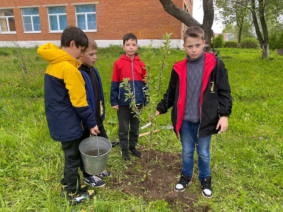 В школьном саду 40 фруктовых. Парк города Ясногорска. Ясногорск аллея памяти. Город Ясногорск Тульской области парк. Парк в Ясногорске Тульской области.