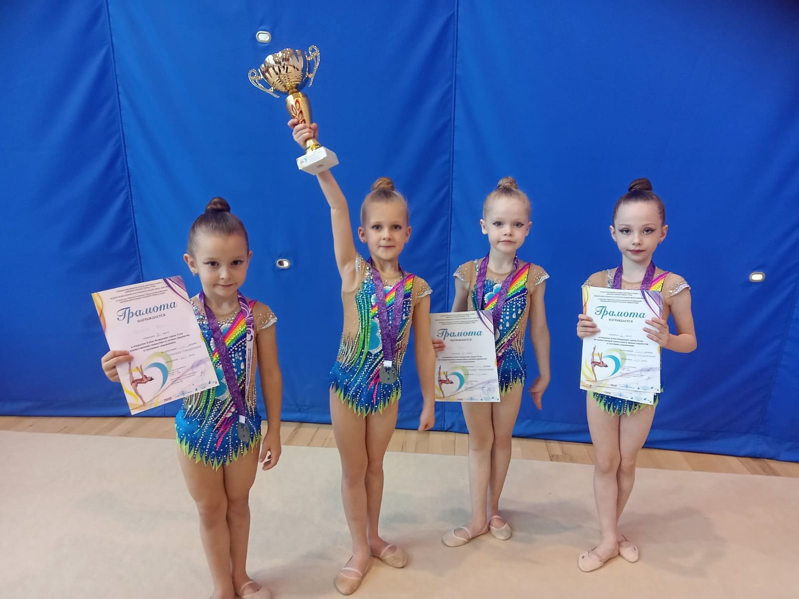 Художественная гимнастика группа 2016