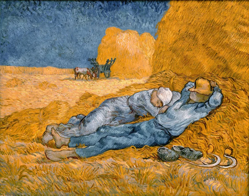 Cztery pory roku z Vincentem van Goghiem. Lato
