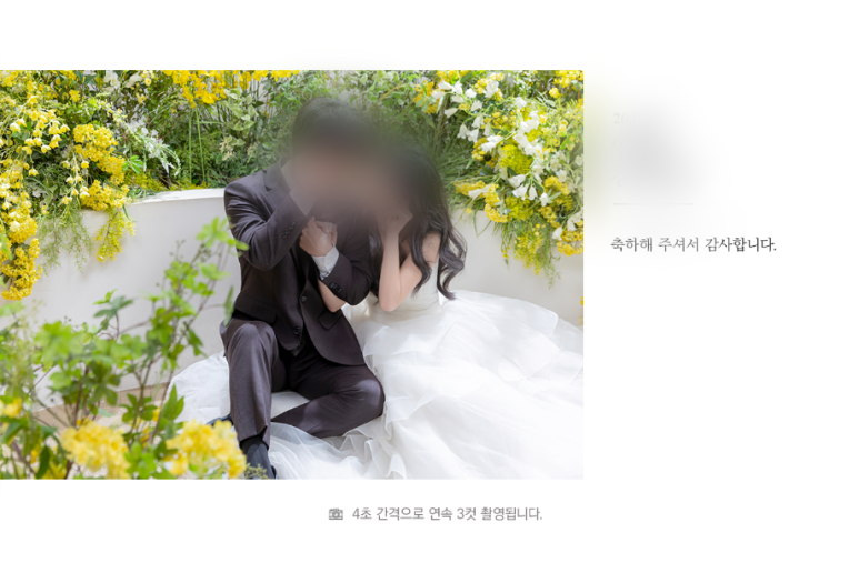 붙여넣기 이미지