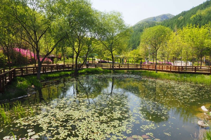 캠핑 좋아!캠핑 좋아!